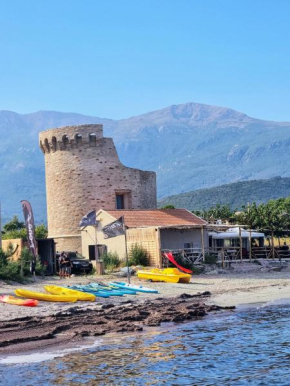 CASA E NIDU